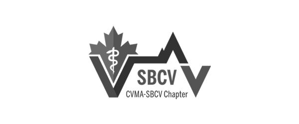 CVMA-SBCV