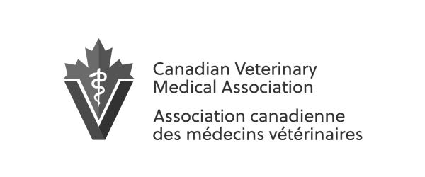 CVMA