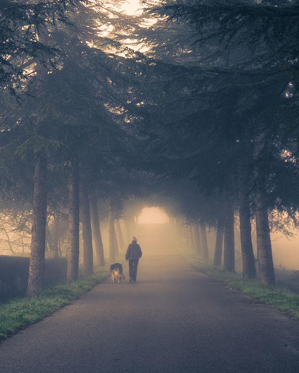 Pet Euthanasia Services